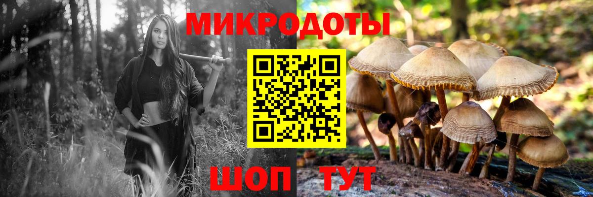 Галлюциногенные грибы Magic Shrooms  цена   Печора  Вход с VPN 